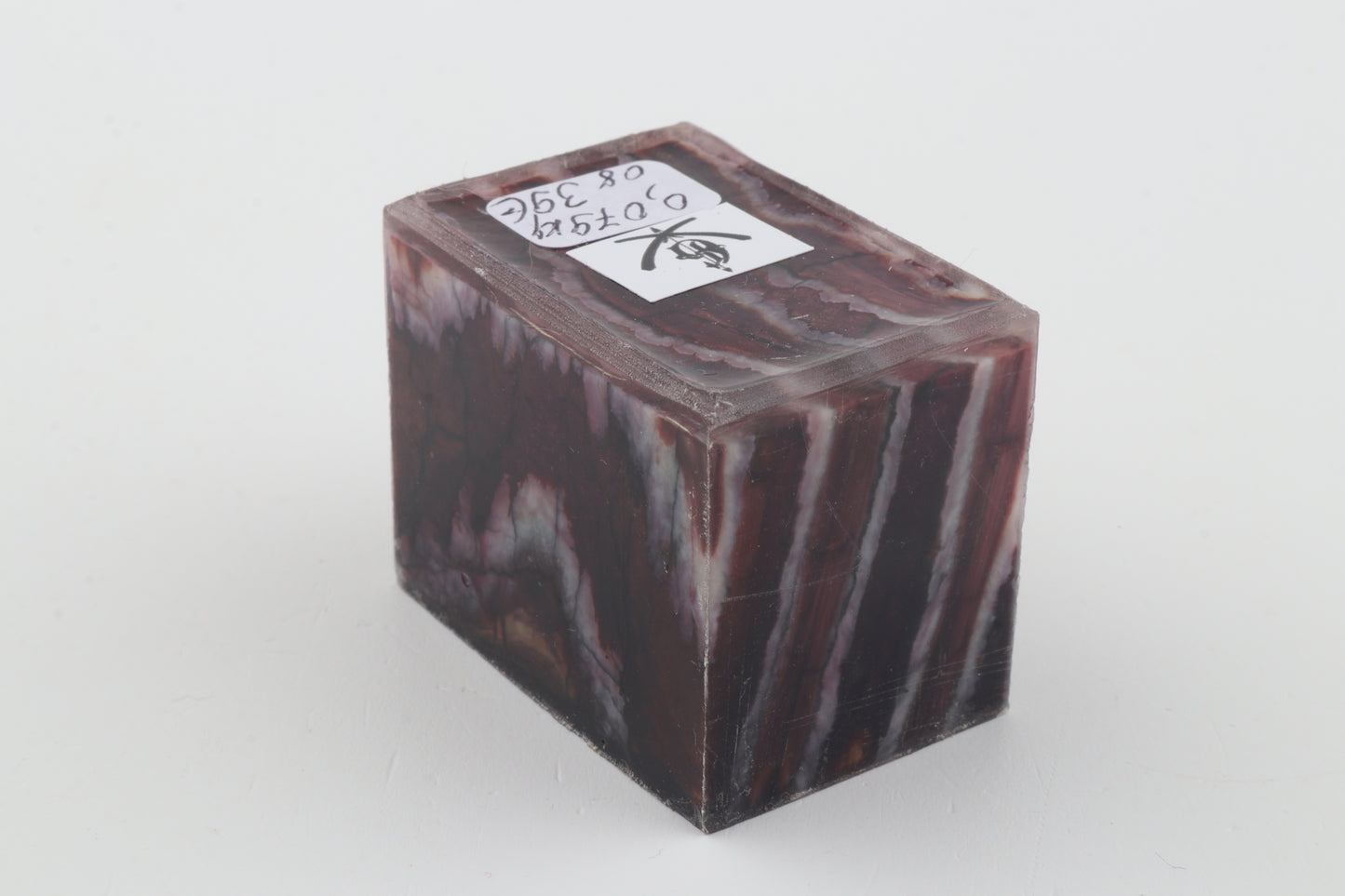 Stabilized mammoth molar piece