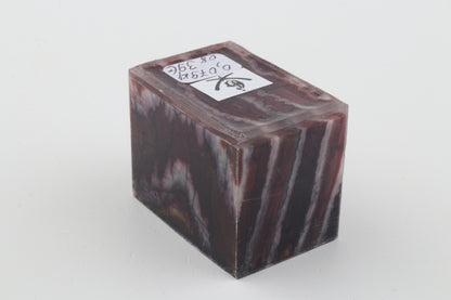 Stabilized mammoth molar piece