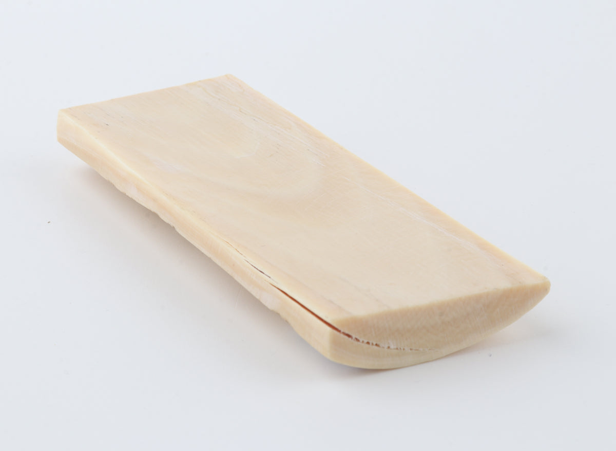 Creme-ivory mammoth bark