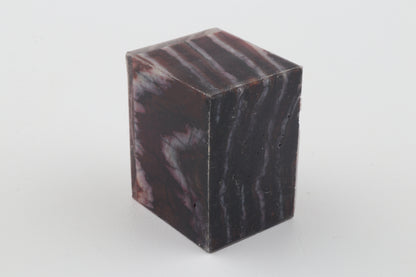 Stabilized mammoth molar piece