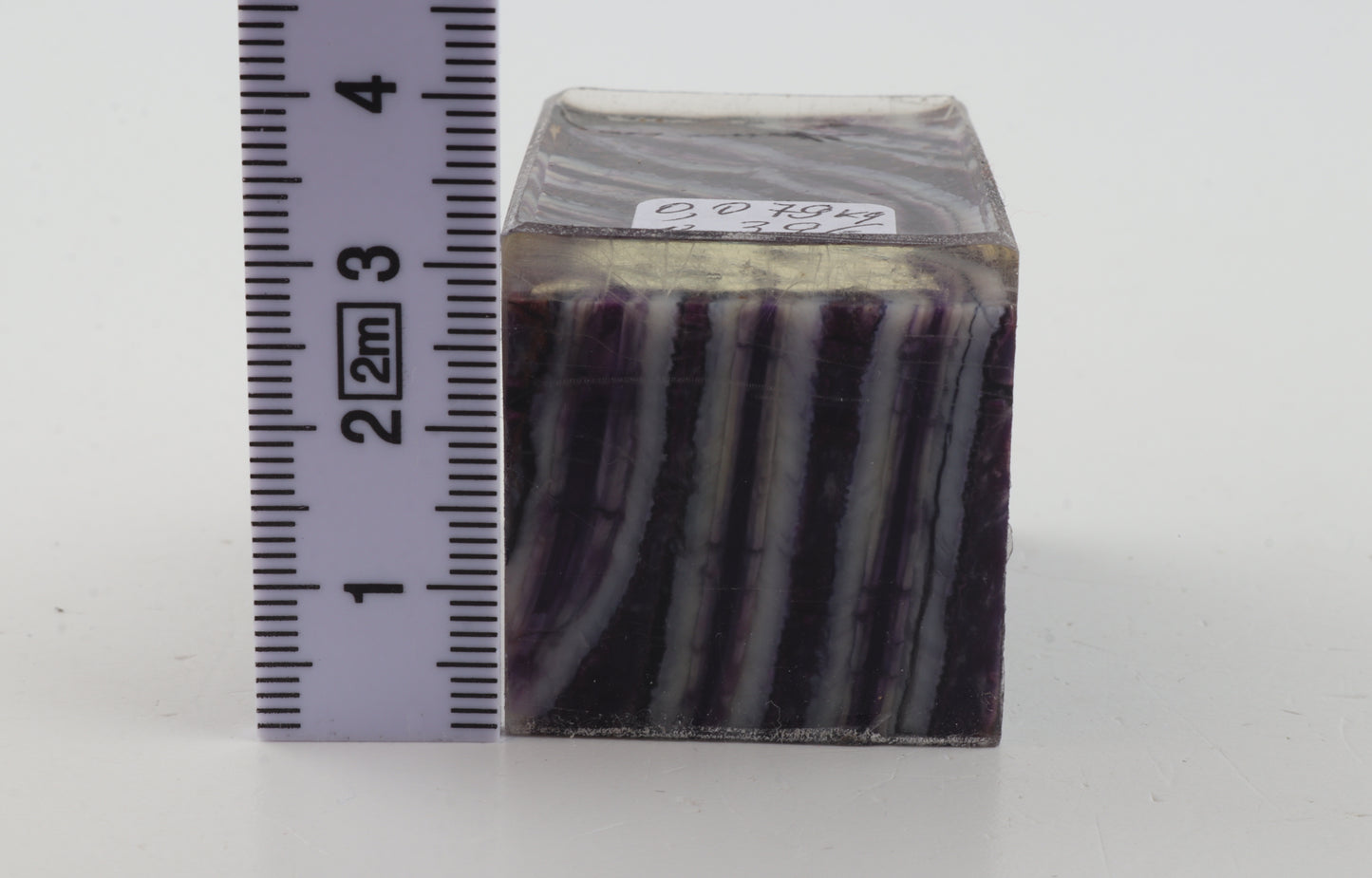 Stabilised mammoth molar piece