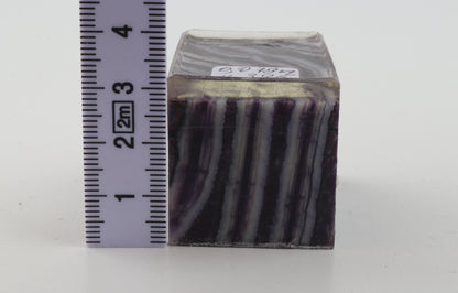 Stabilised mammoth molar piece