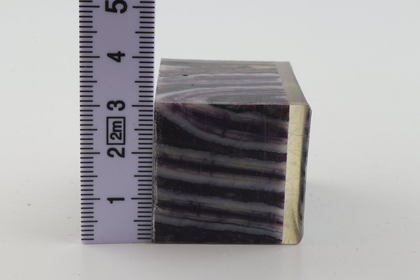 Stabilised mammoth molar piece