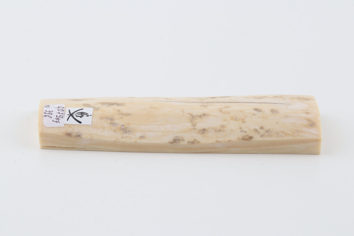 Creme-ivory mammoth bark