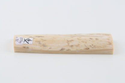 Creme-ivory mammoth bark