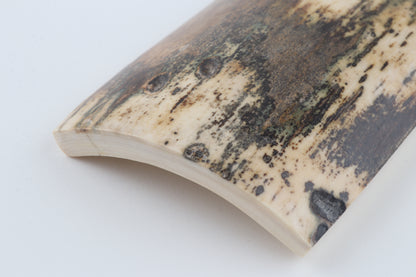 Brown-cream mammoth bark