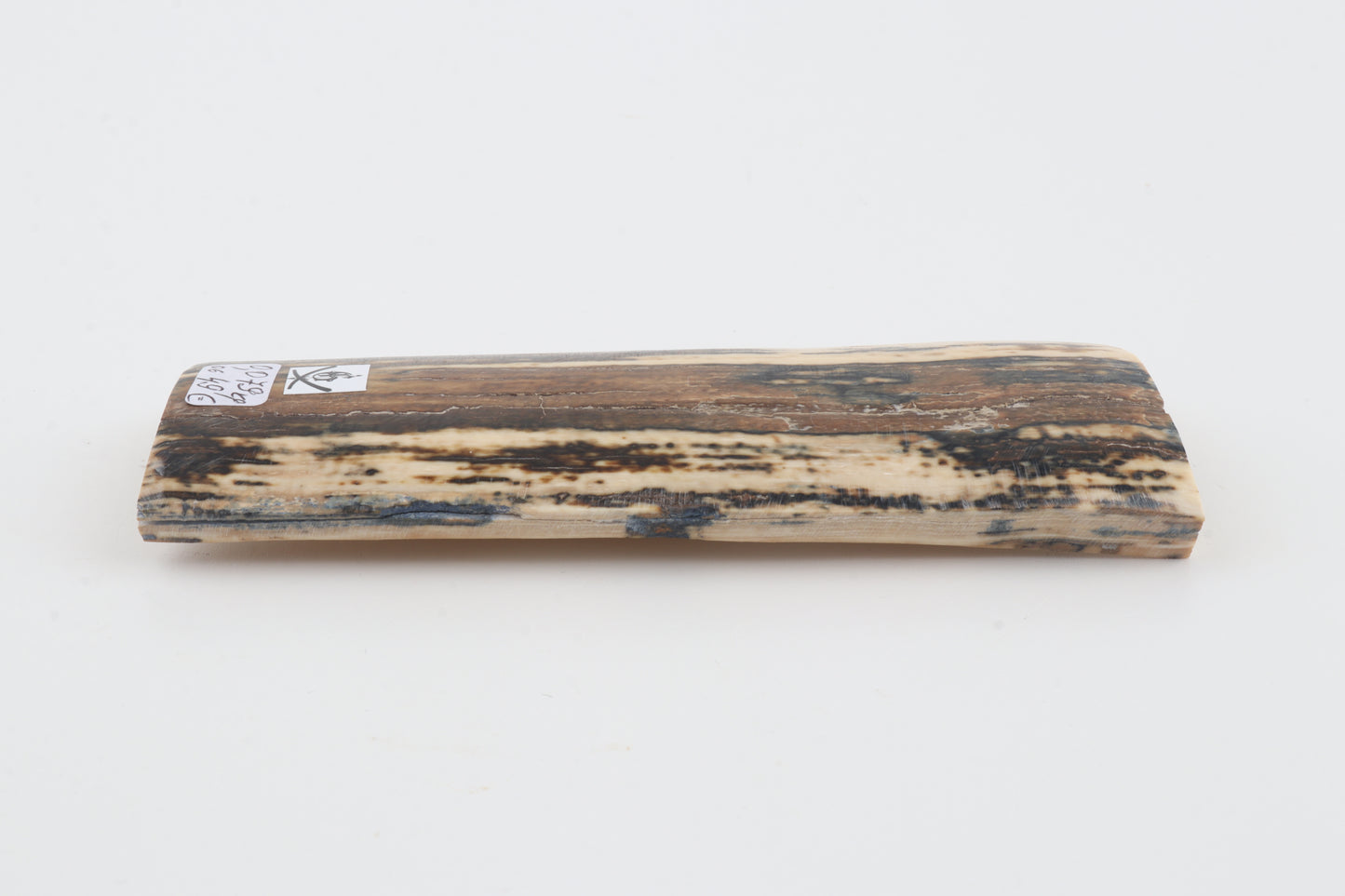 Brown-white mammoth bark