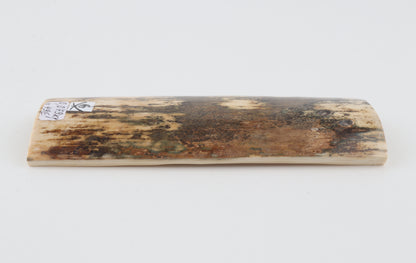 Brown-cream mammoth bark