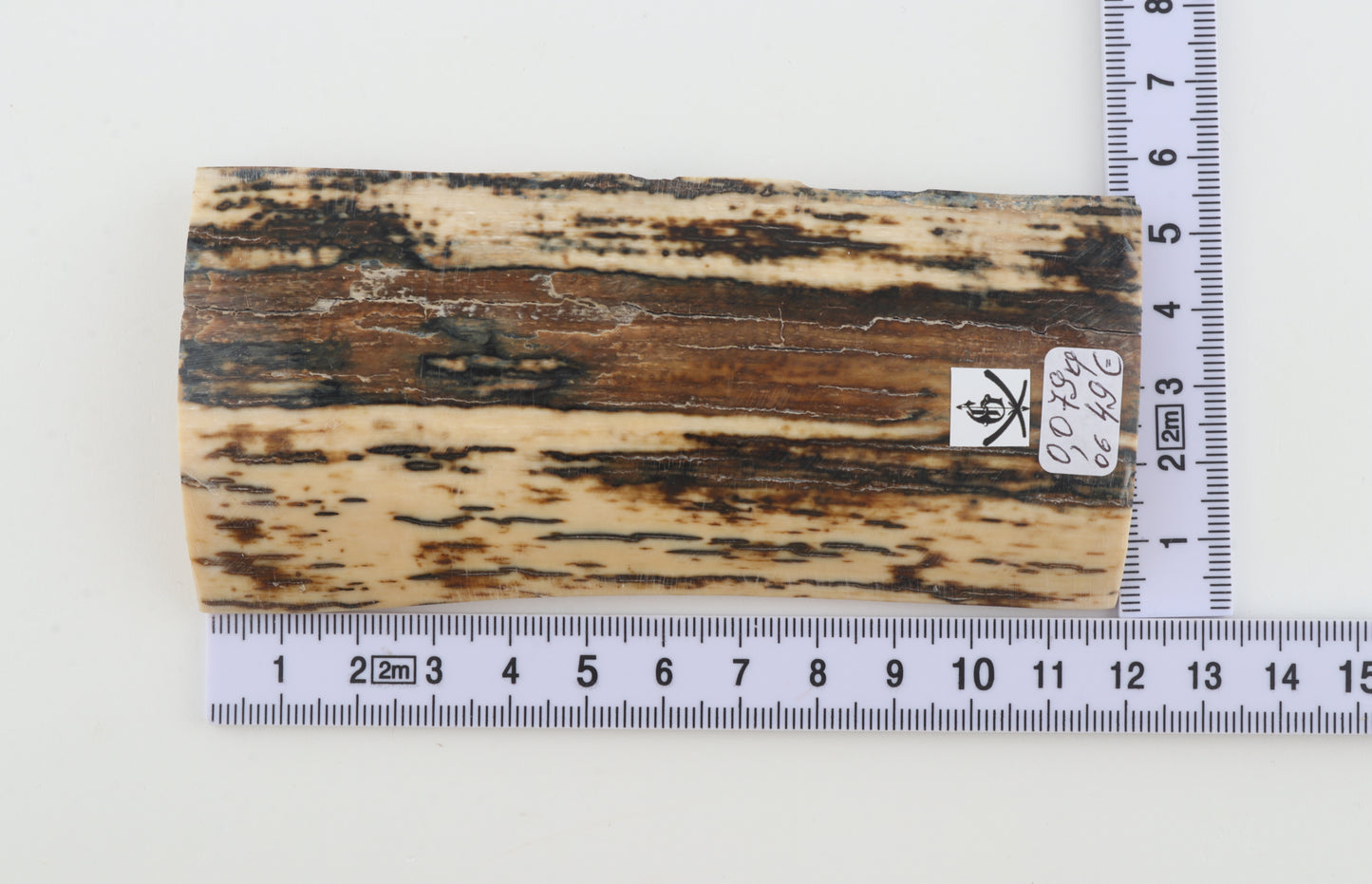 Brown-white mammoth bark