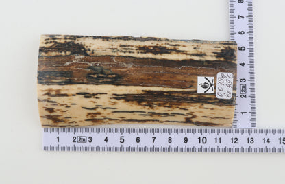 Brown-white mammoth bark