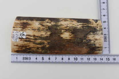Brown-cream mammoth bark