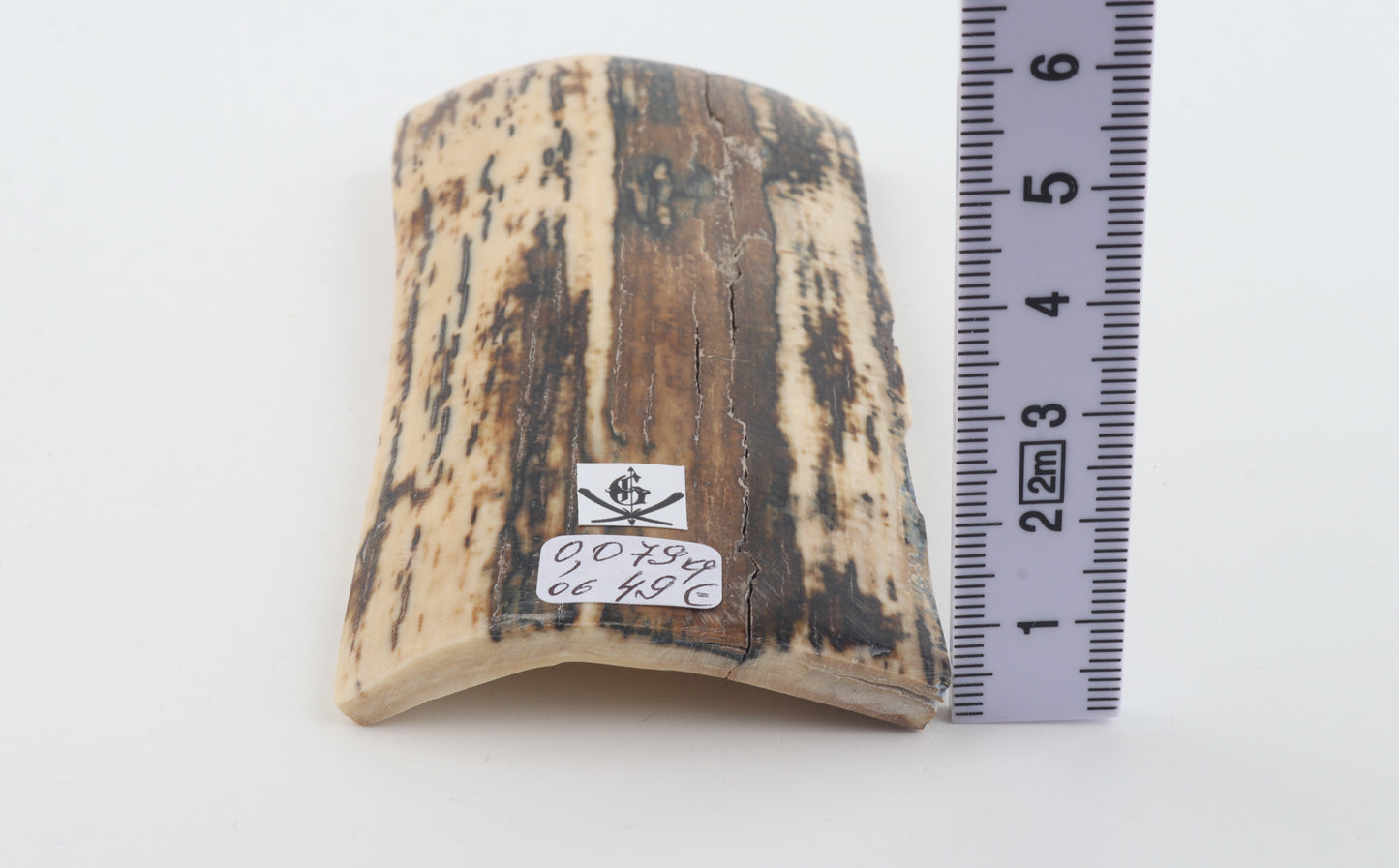 Brown-white mammoth bark