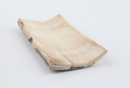 Brown-white mammoth bark