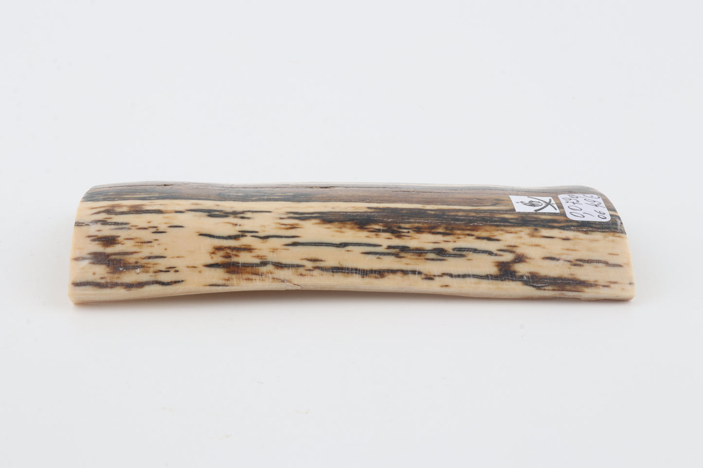Brown-white mammoth bark
