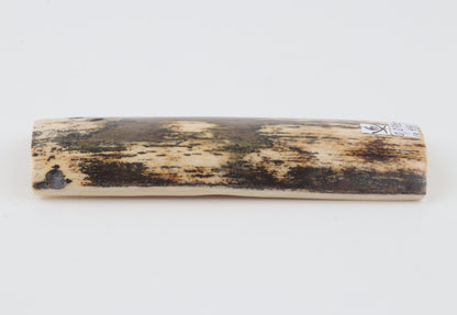 Brown-cream mammoth bark