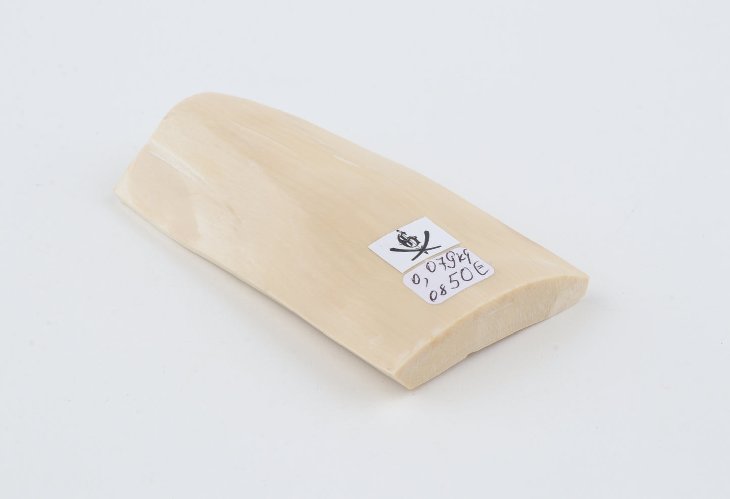 White mammoth ivory segment