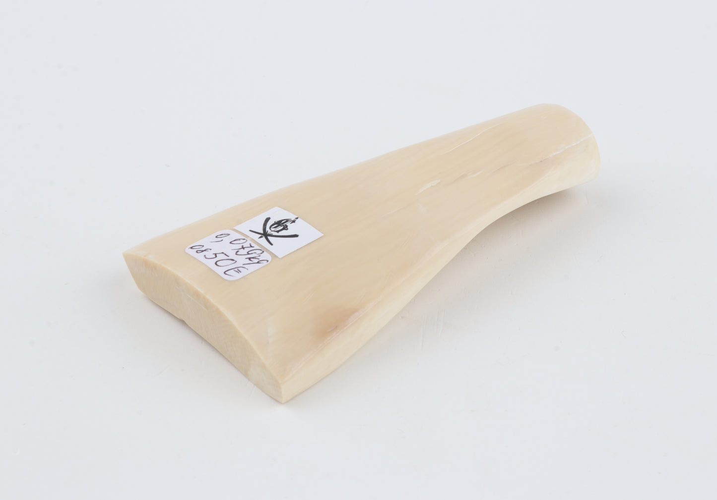 White mammoth ivory segment