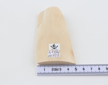 White mammoth ivory segment