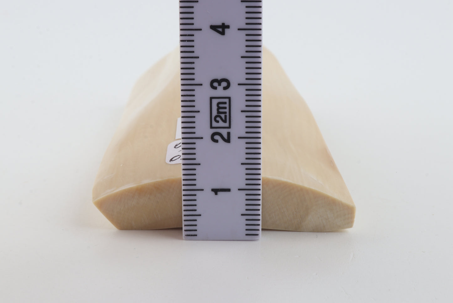 White mammoth ivory segment