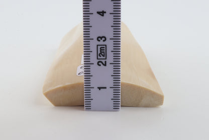 White mammoth ivory segment