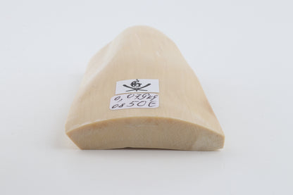 White mammoth ivory segment
