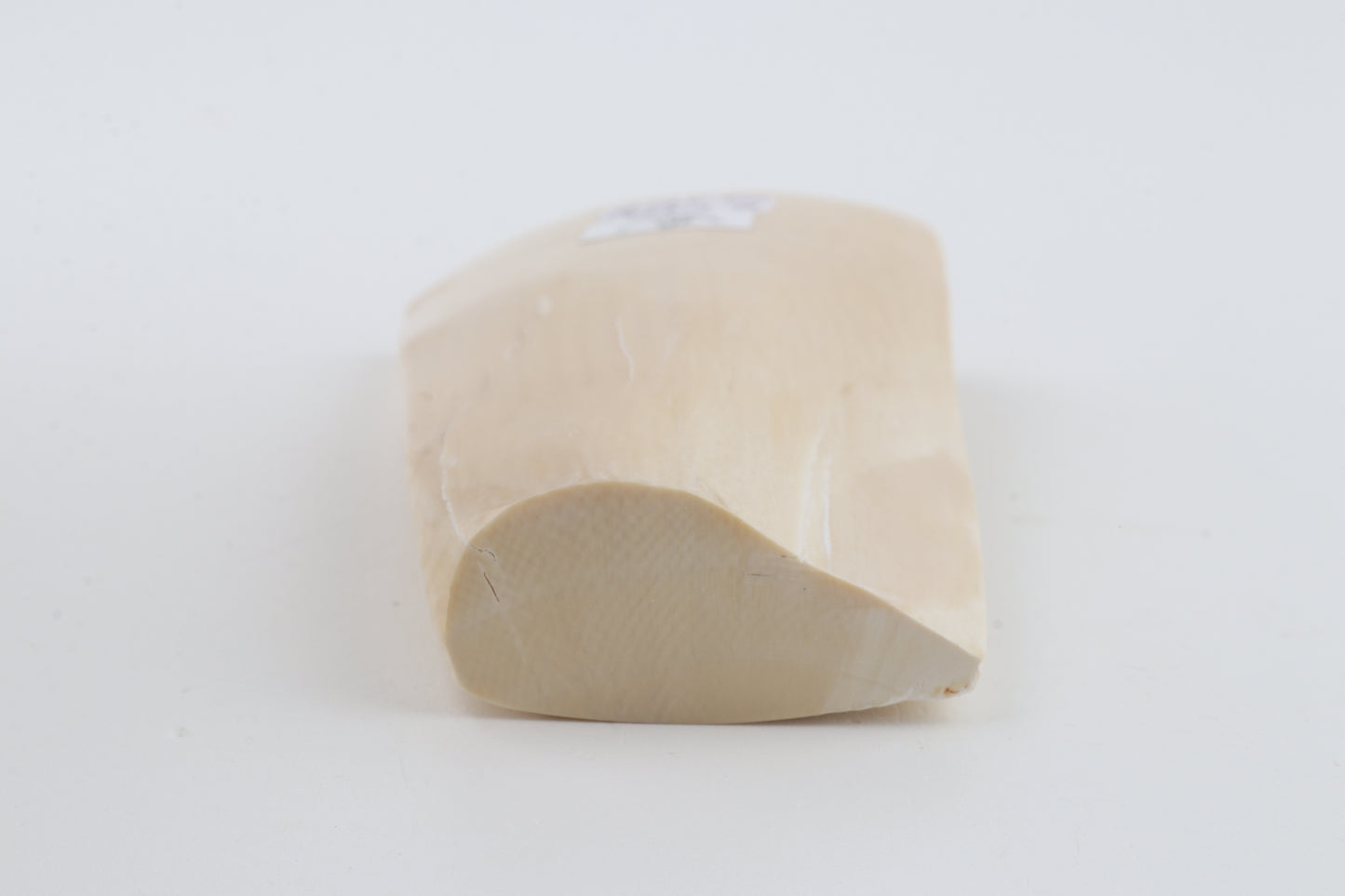 White mammoth ivory segment