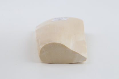 White mammoth ivory segment