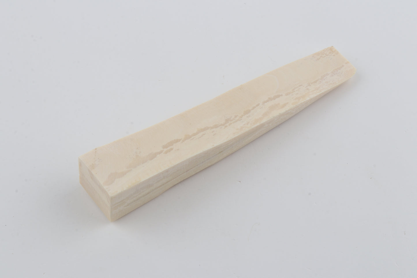 White mammoth ivory segment