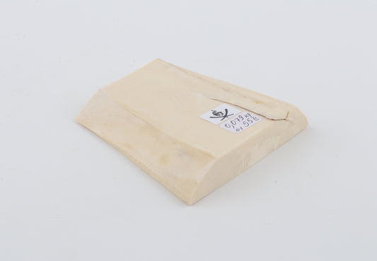 White mammoth ivory segment