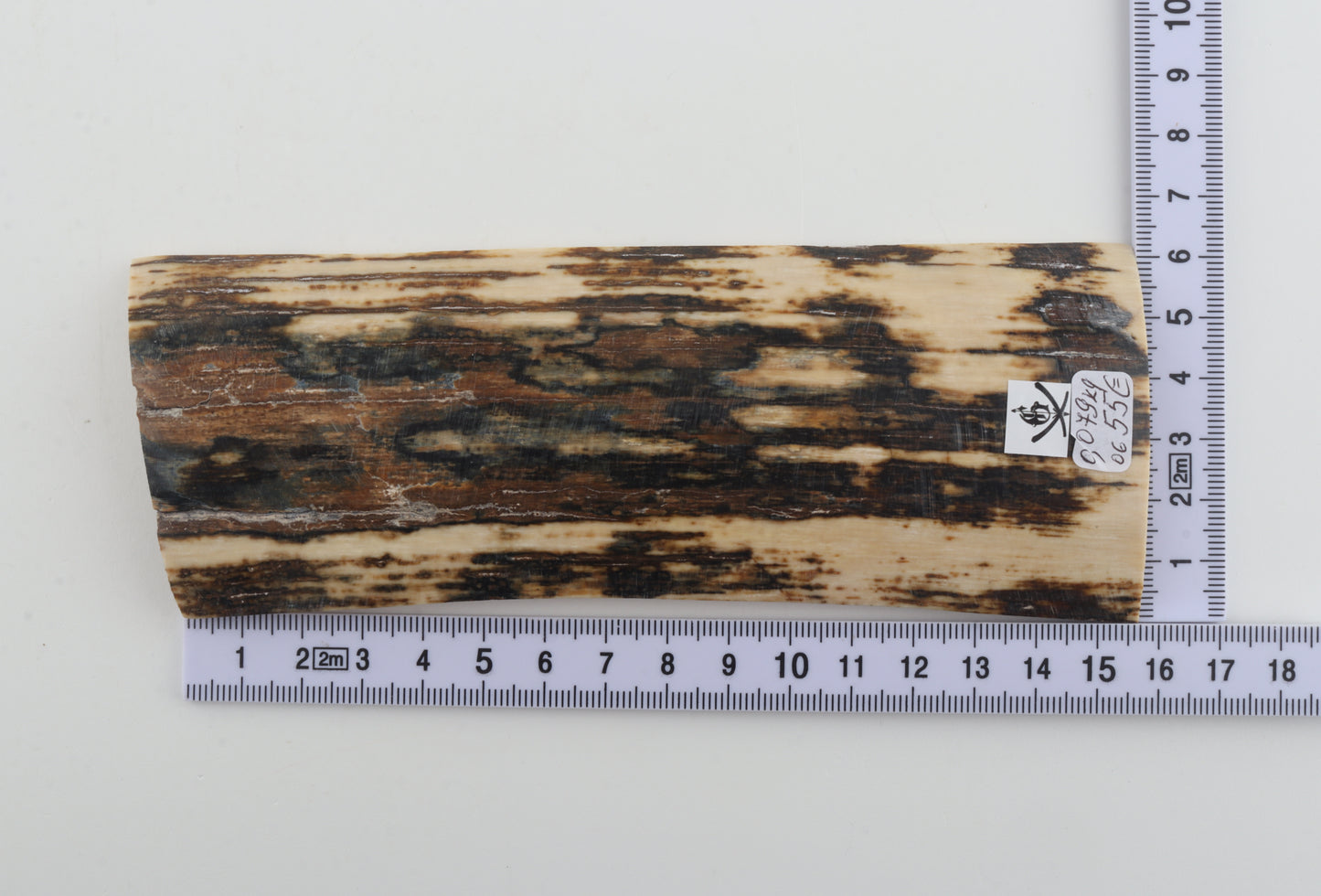 Natural woolly mammoth bark