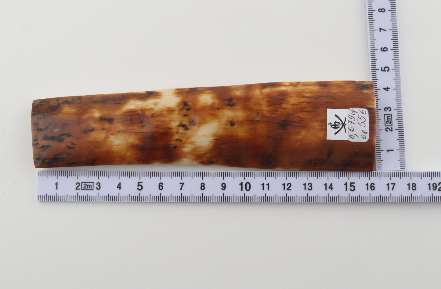 Caramel-brown mammoth bark