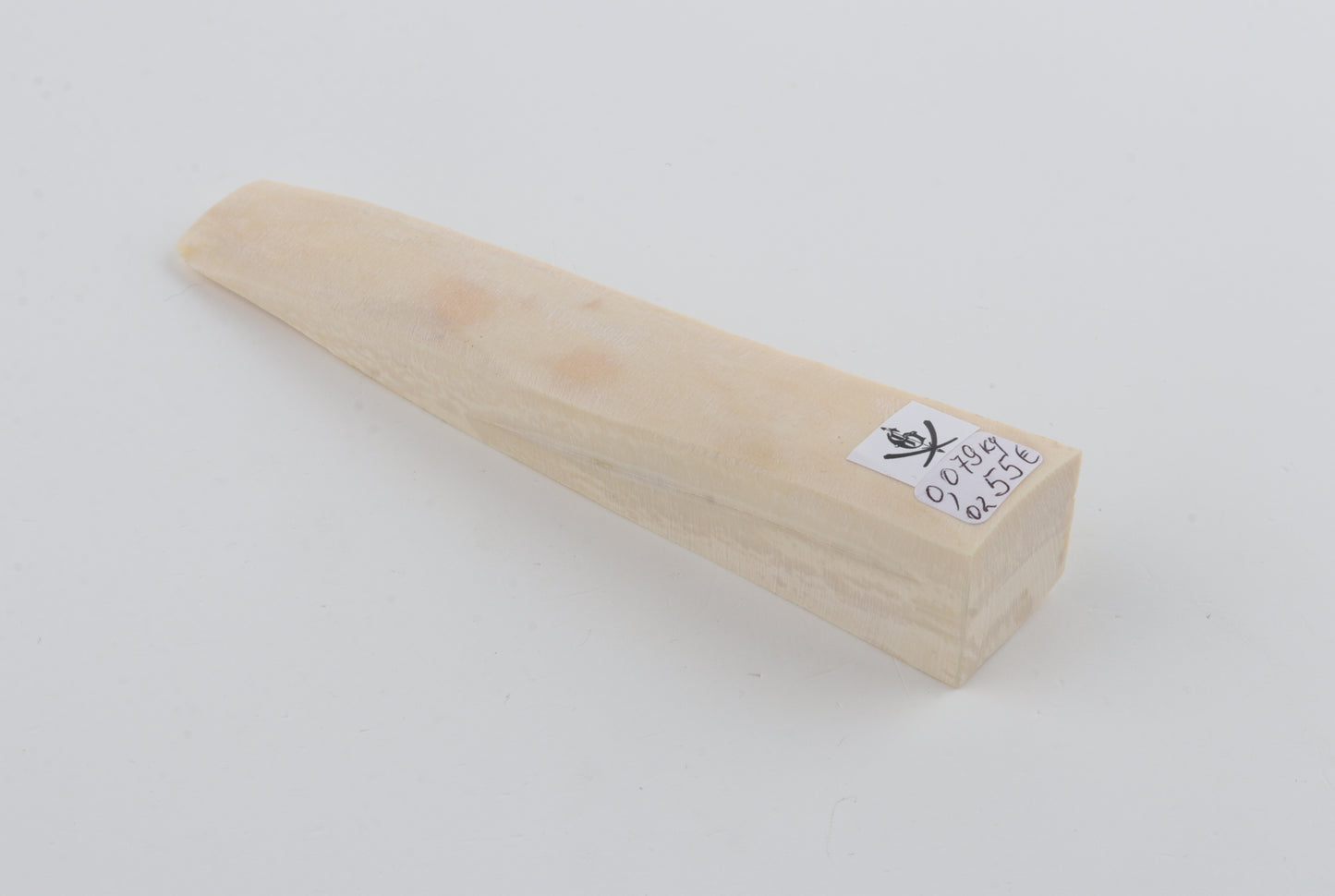 White mammoth ivory segment