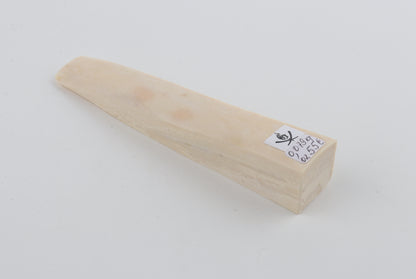 White mammoth ivory segment