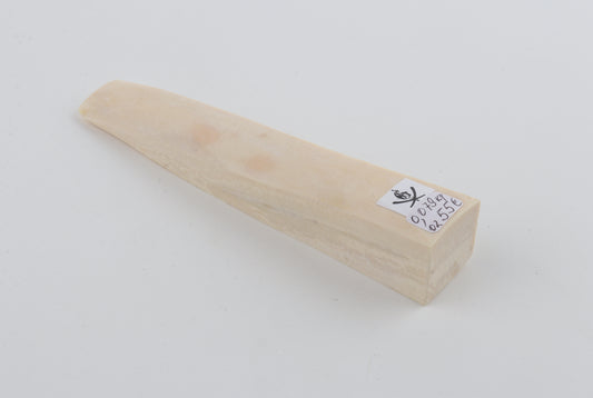White mammoth ivory segment