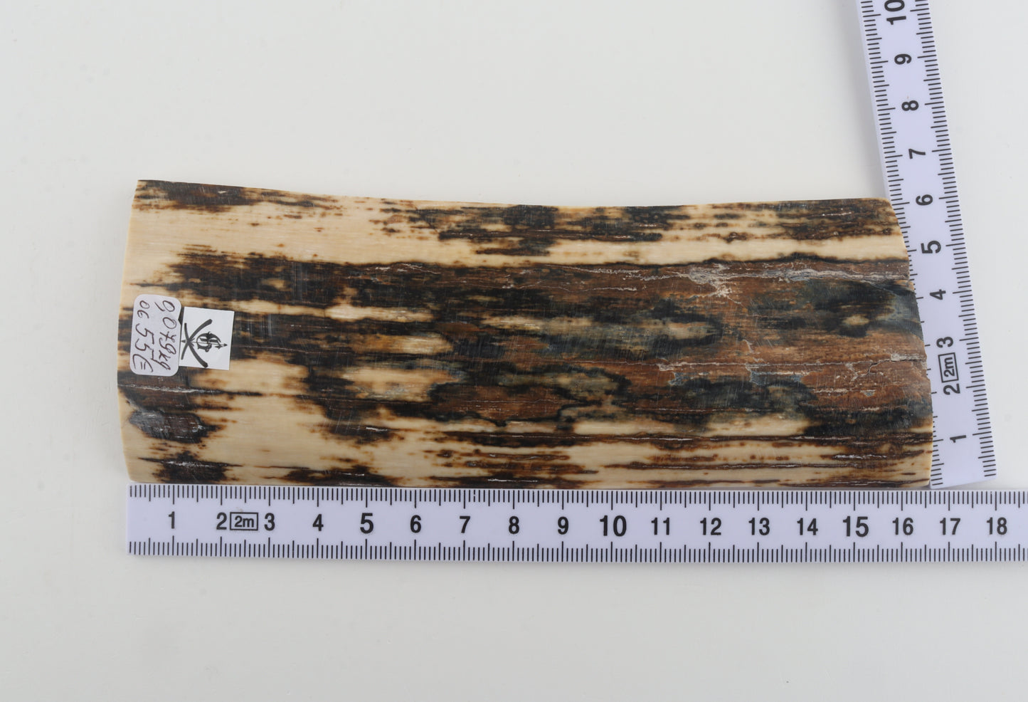 Natural woolly mammoth bark