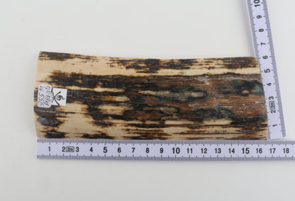 Natural woolly mammoth bark