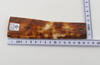Caramel-brown mammoth bark