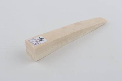 White mammoth ivory segment