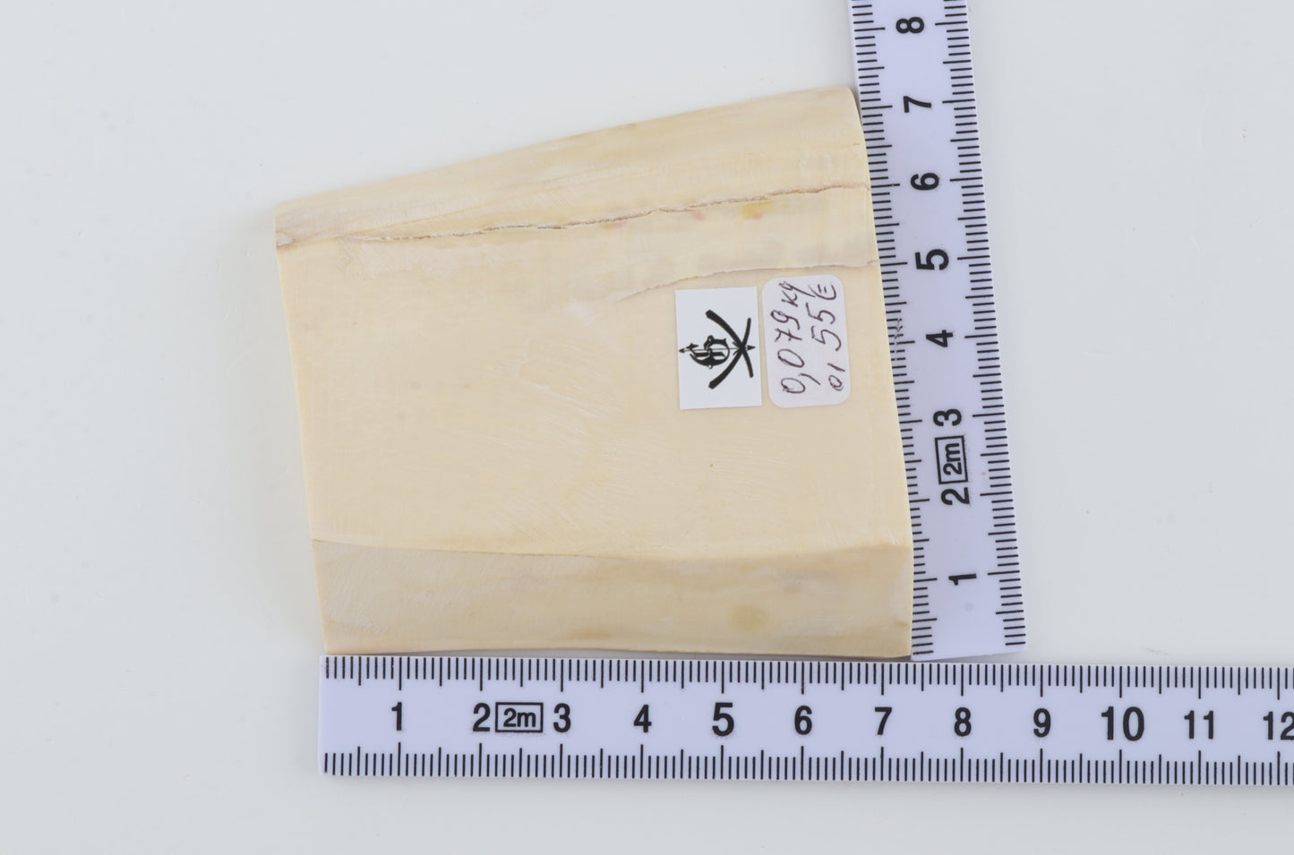 White mammoth ivory segment