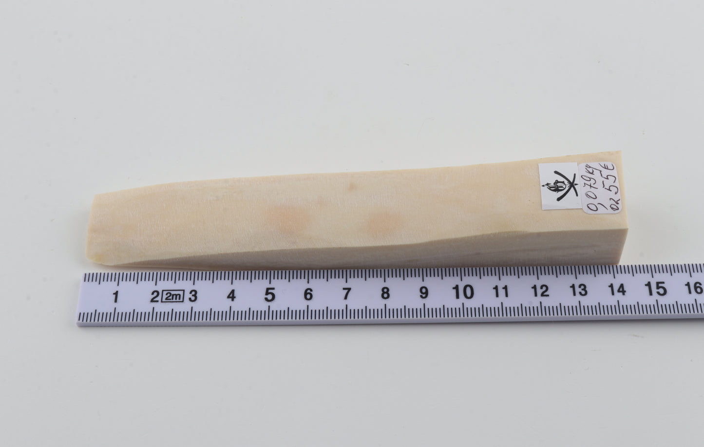 White mammoth ivory segment