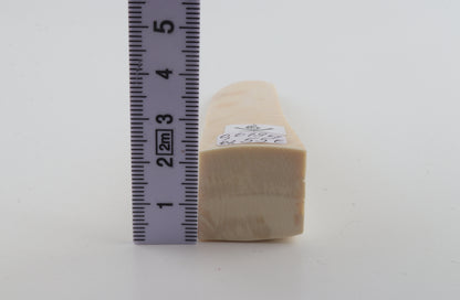 White mammoth ivory segment
