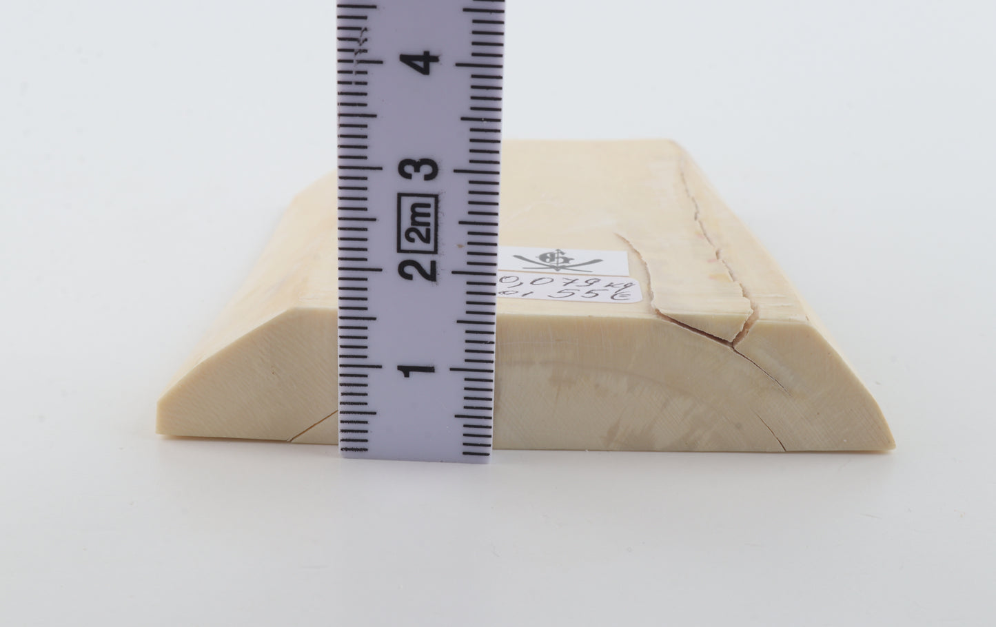 White mammoth ivory segment