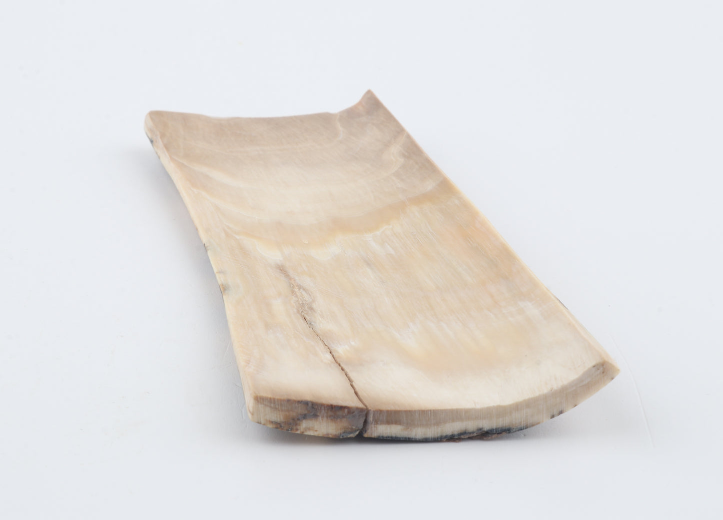 Natural woolly mammoth bark