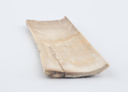 Natural woolly mammoth bark