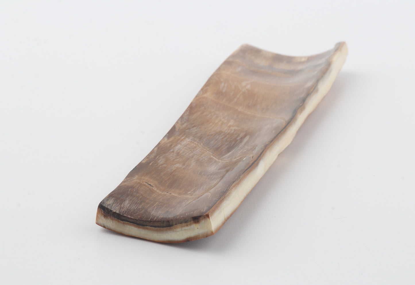 Caramel-brown mammoth bark