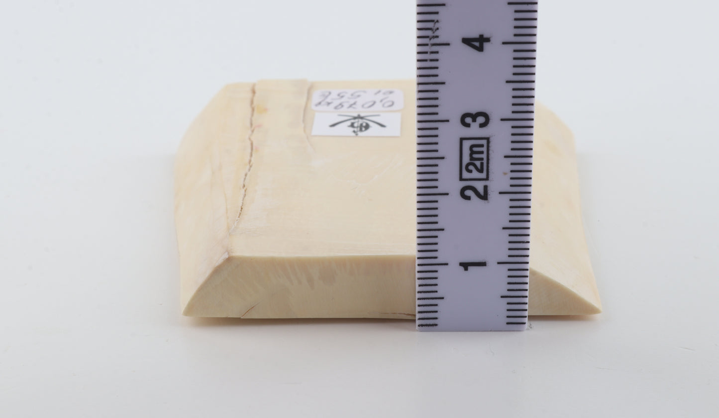 White mammoth ivory segment