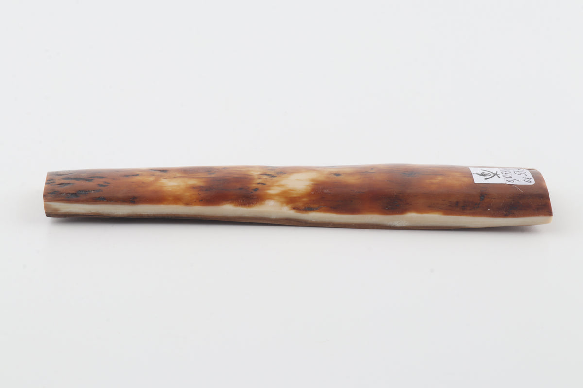 Caramel-brown mammoth bark