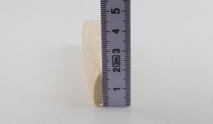 White mammoth ivory segment