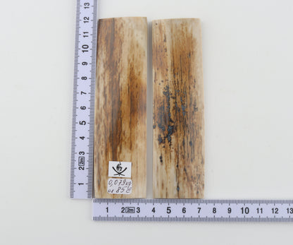 Natural mammoth bark scales