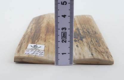 Natural mammoth bark scales